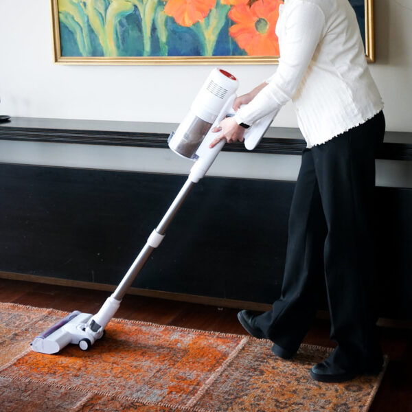 aspiradora inalámbrica d300